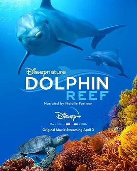 《海豚礁》:探索神秘海底世界,感受生命与自然的和谐