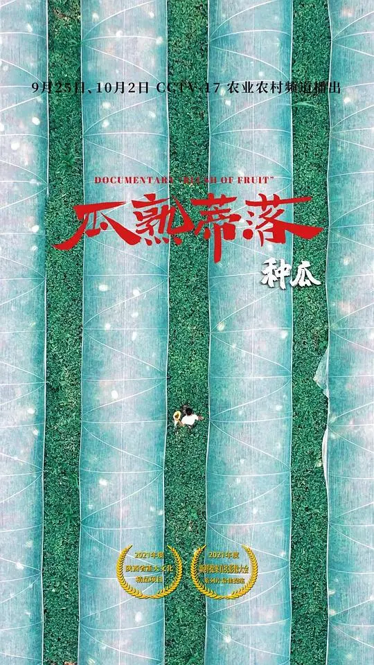 《瓜熟蒂落》影评:生命自然流淌的诗意,静谧中感受家庭的真谛